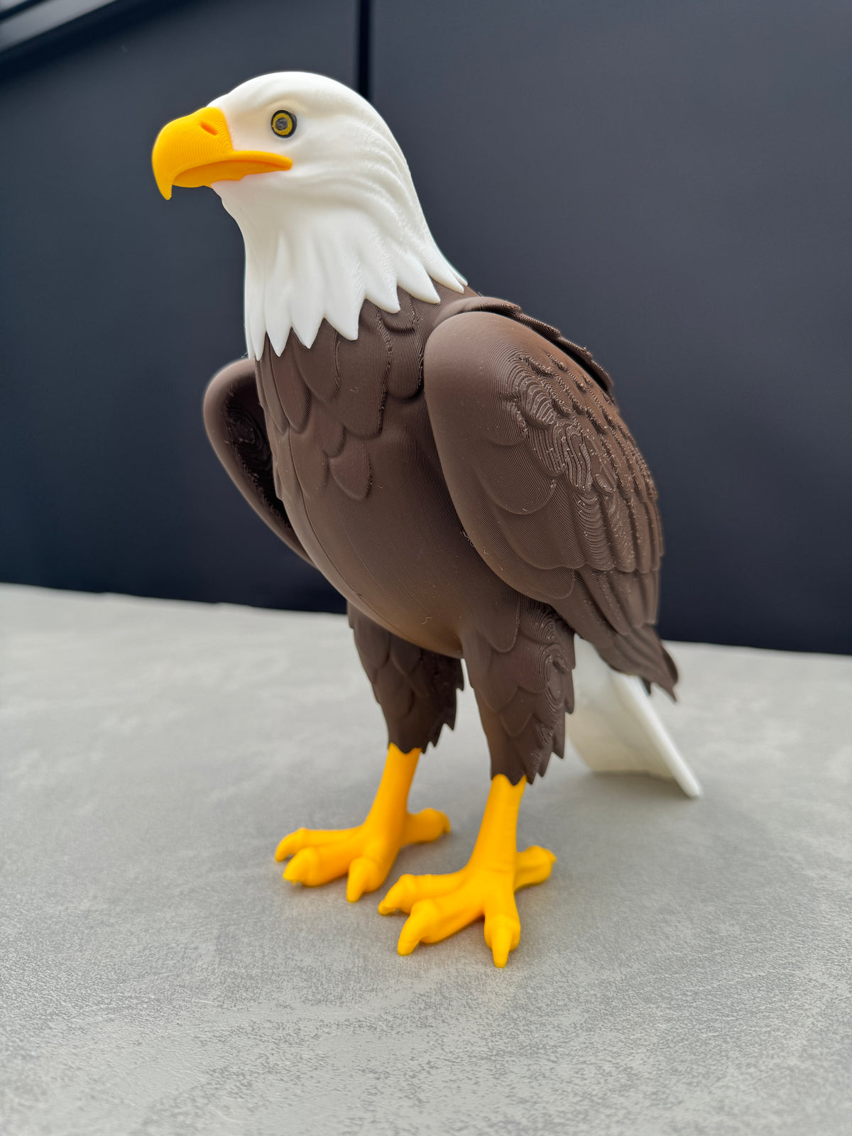 American Bald Eagle