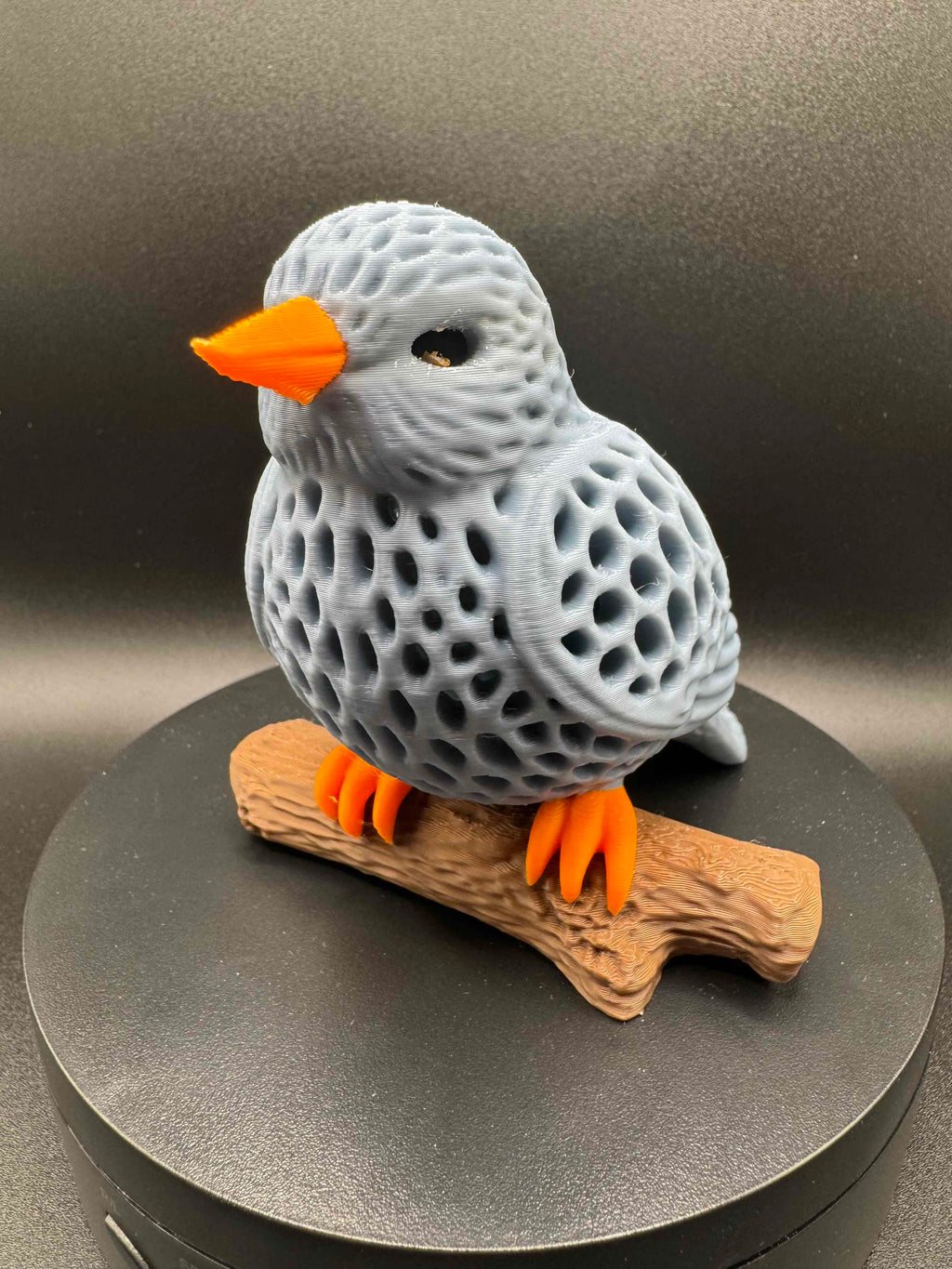 Bluebird on a log