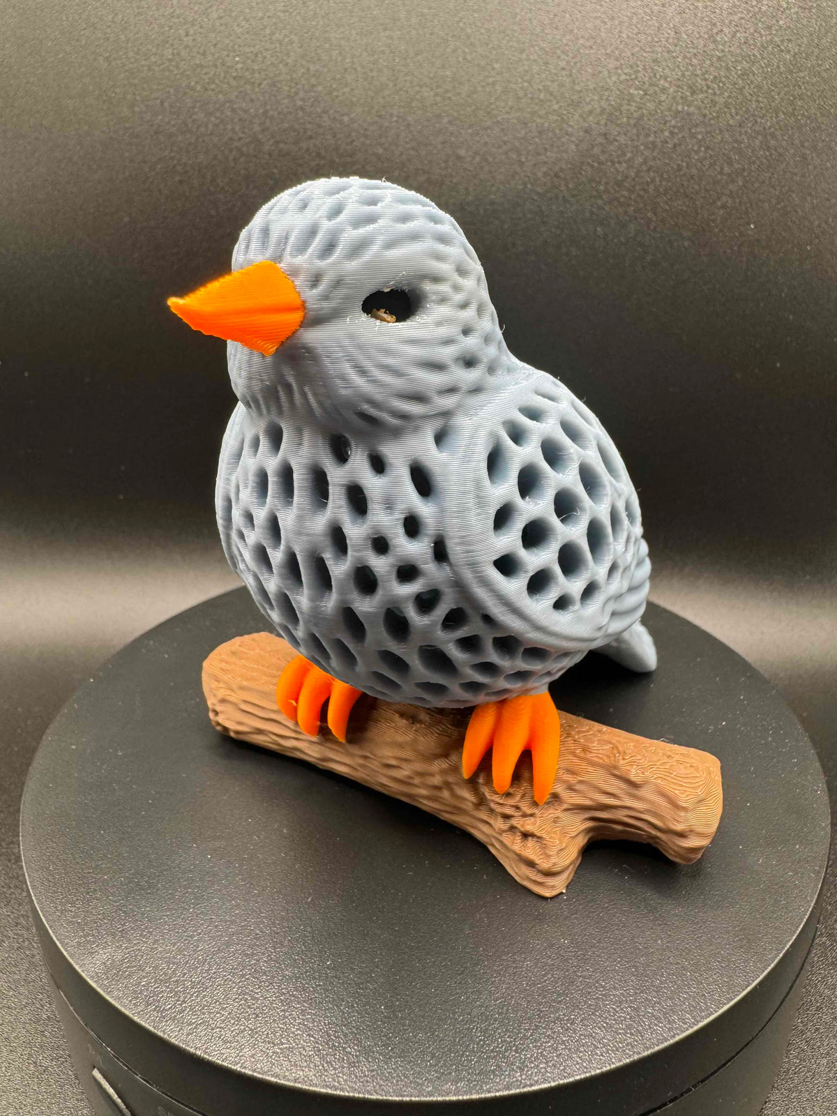 Bluebird on a log