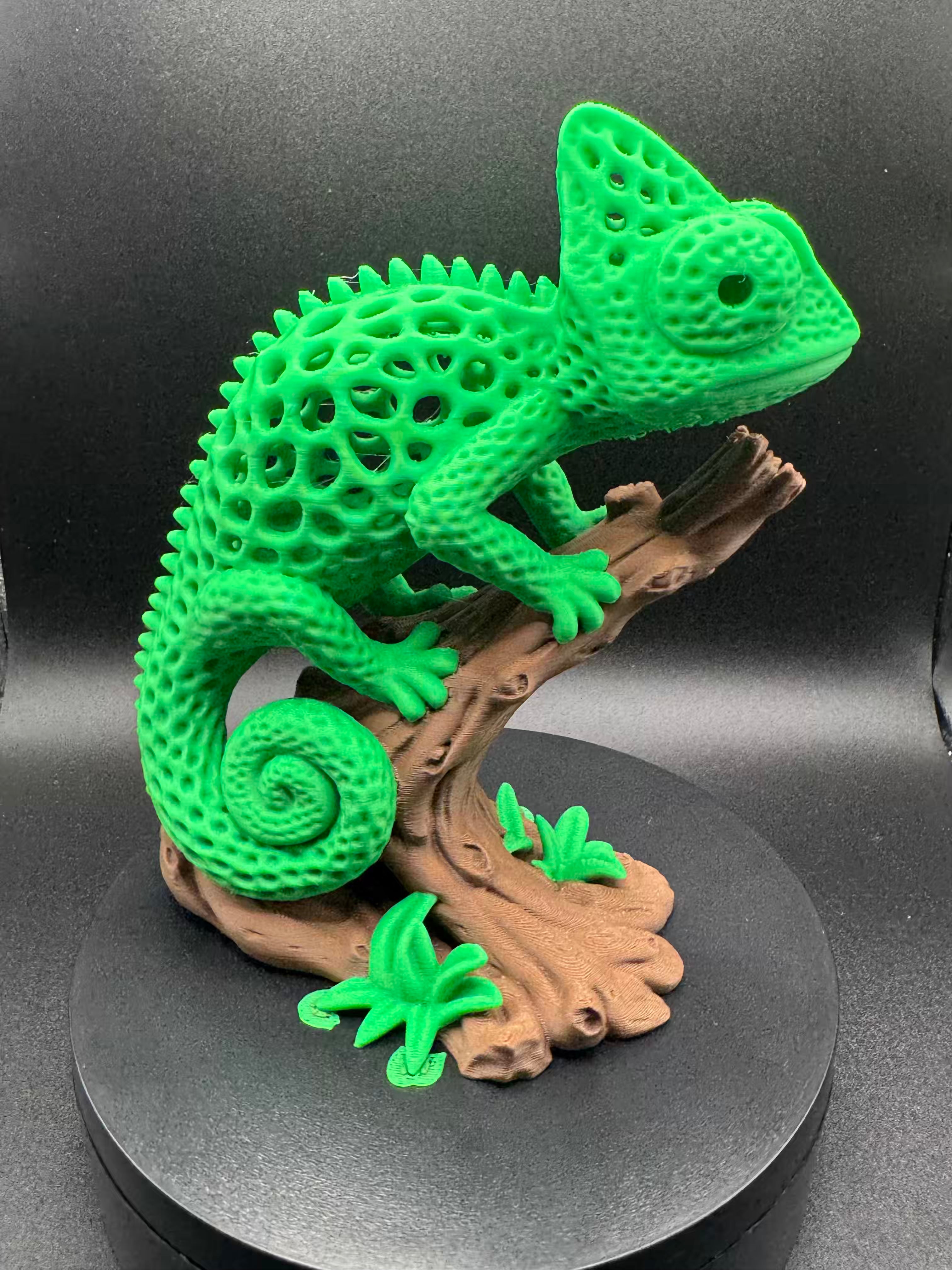 Cameleon