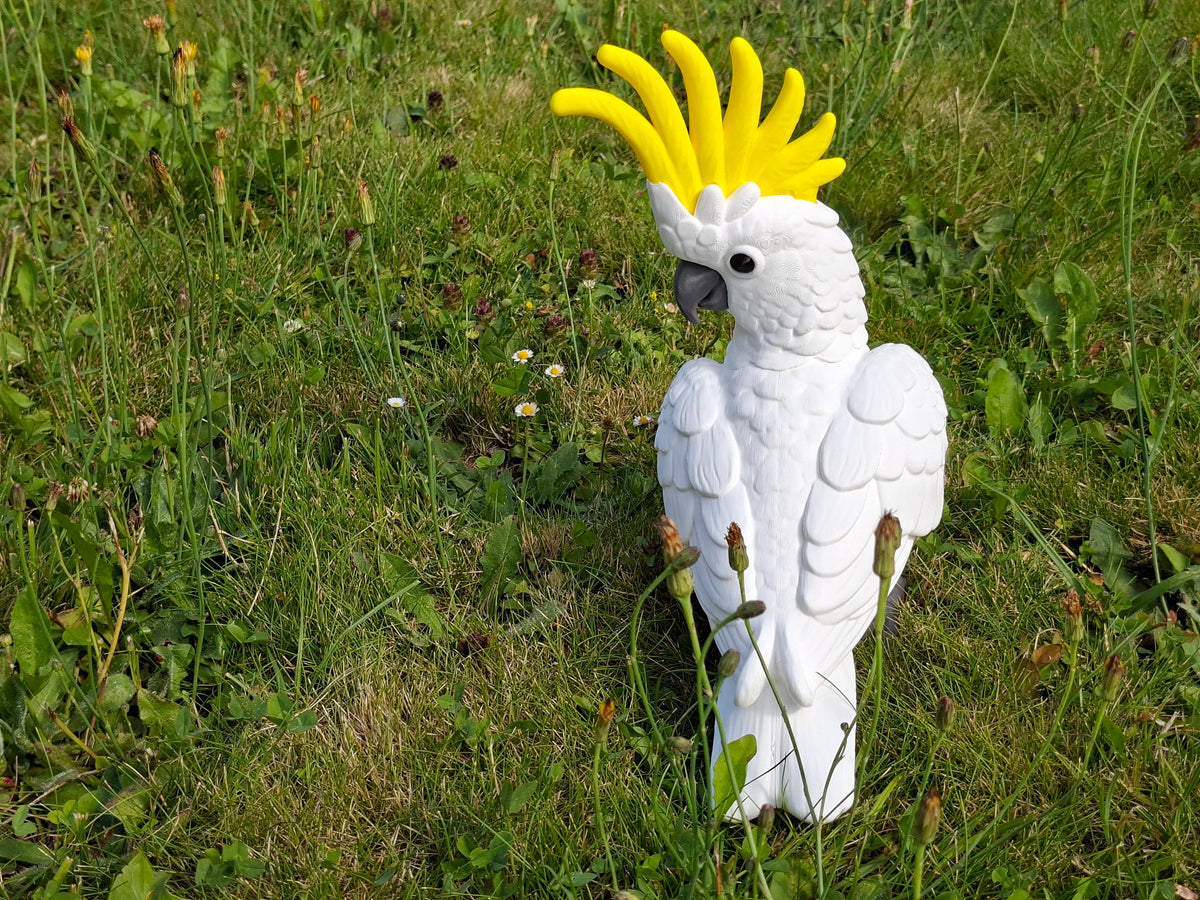 Cockateil Life Sized