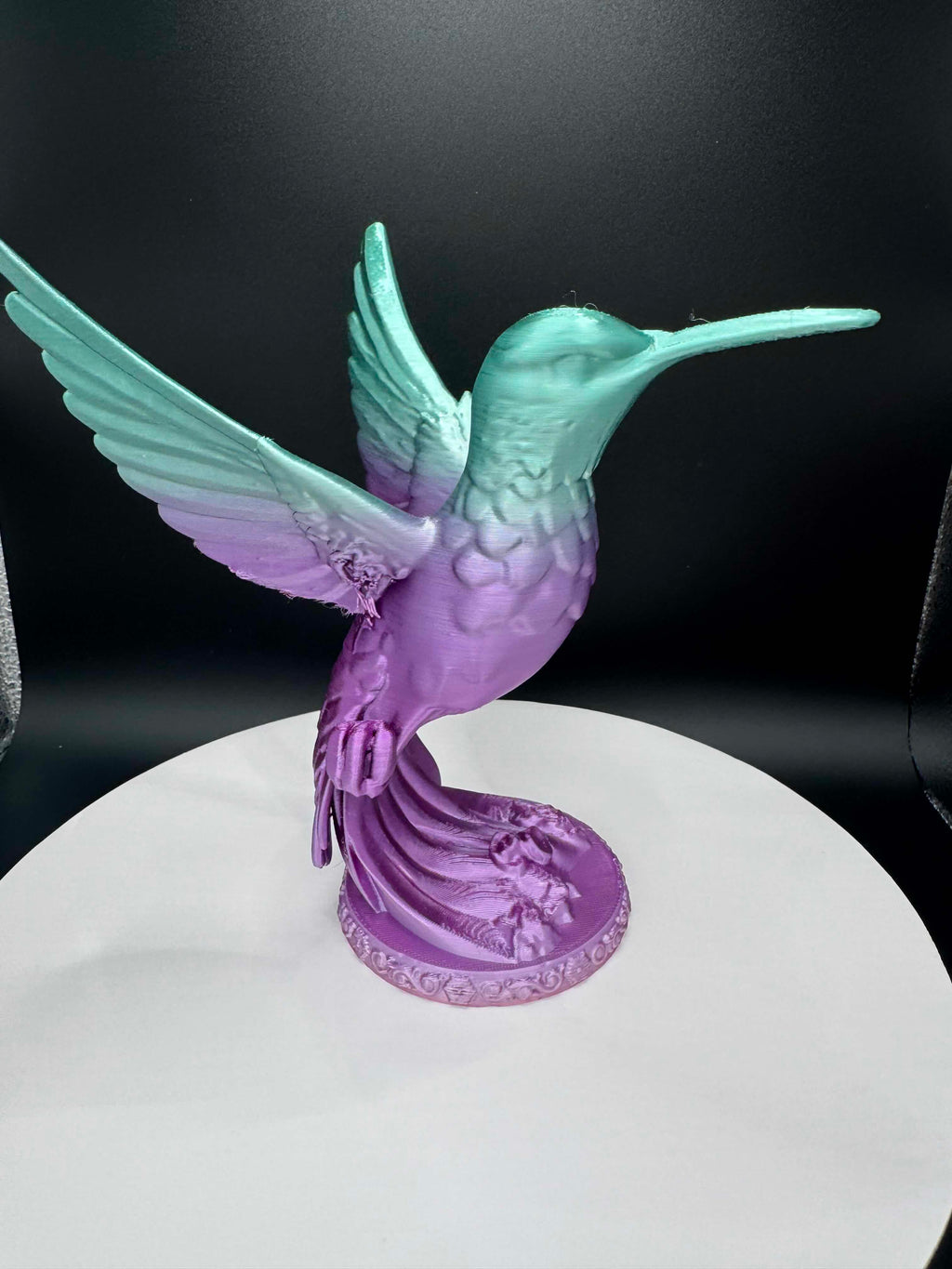 Animal - Hummingbird in Flight