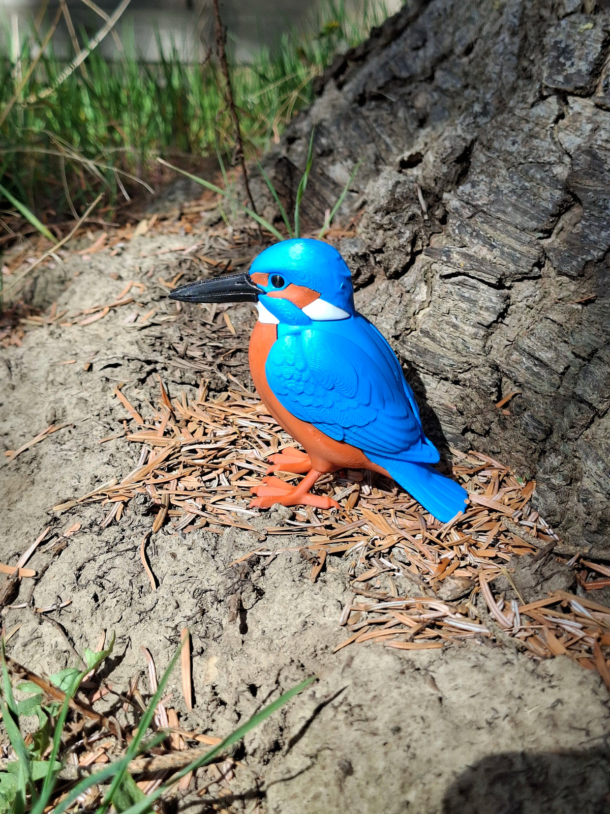 Kingfisher Life sized - Also comes as a Kit Card