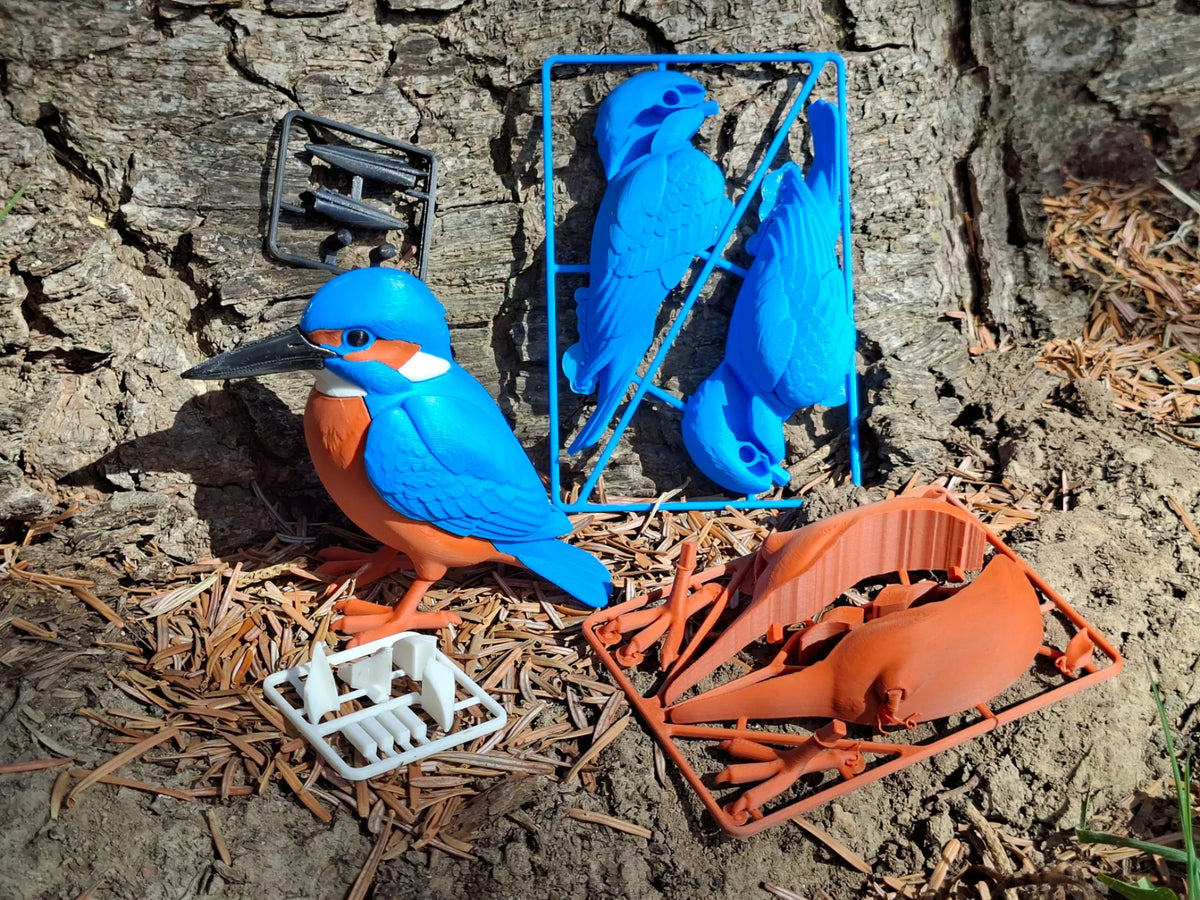 Kingfisher Life sized - Also comes as a Kit Card