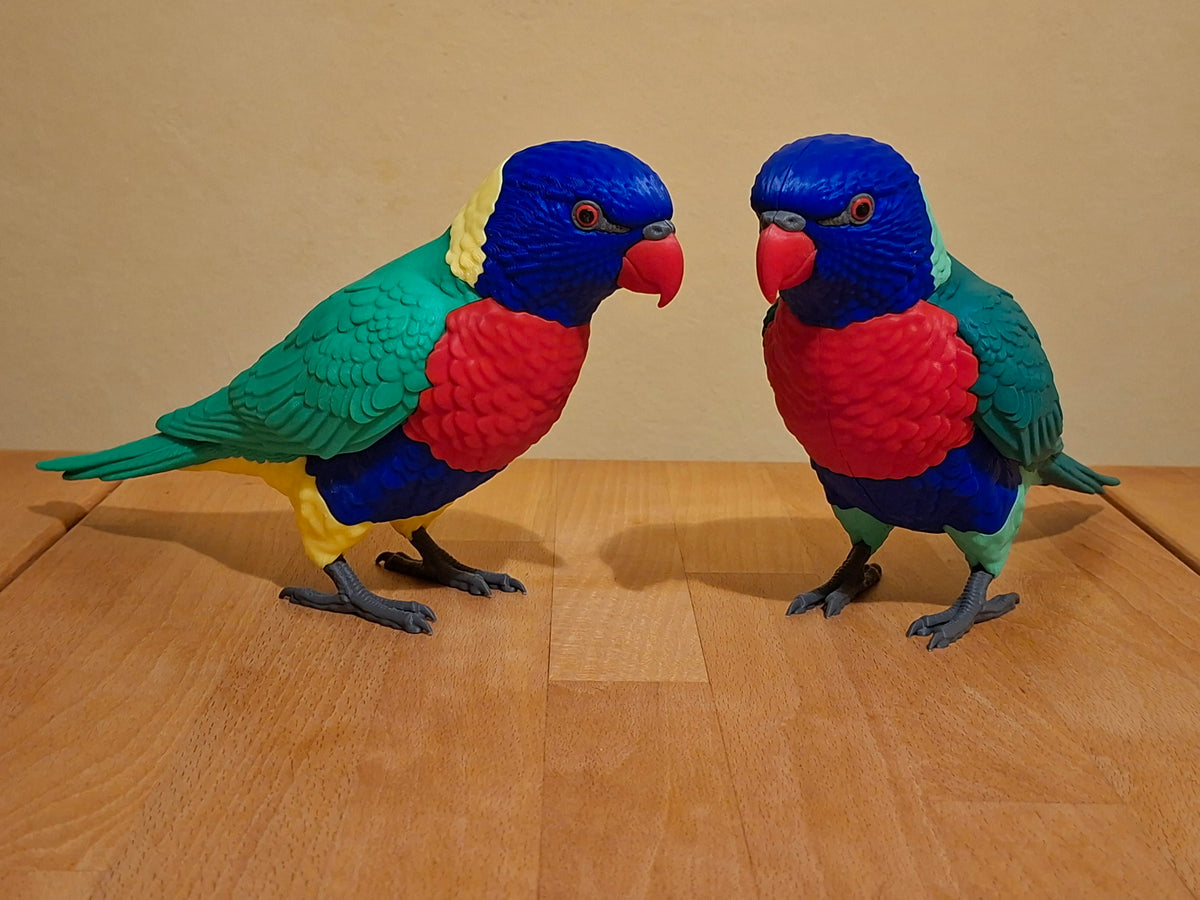 Rainbow Lorikeet full size