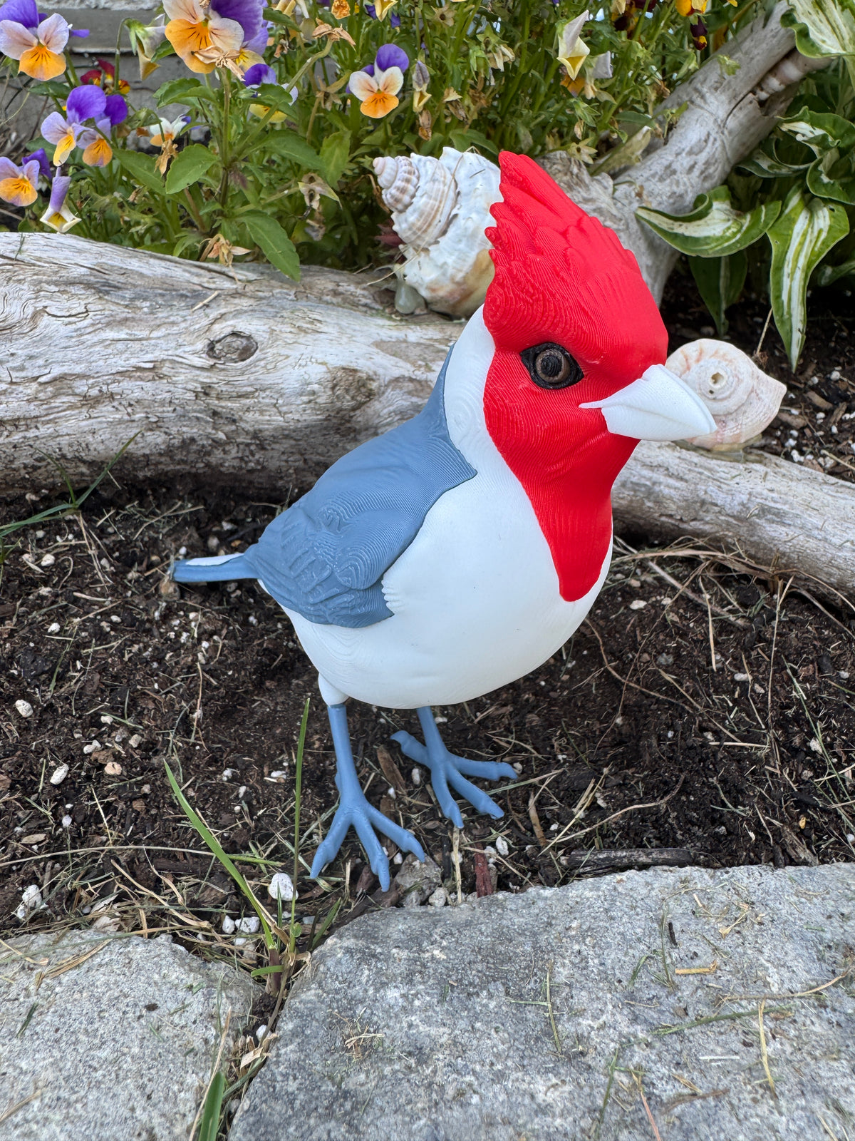 Red Crested Cardinal