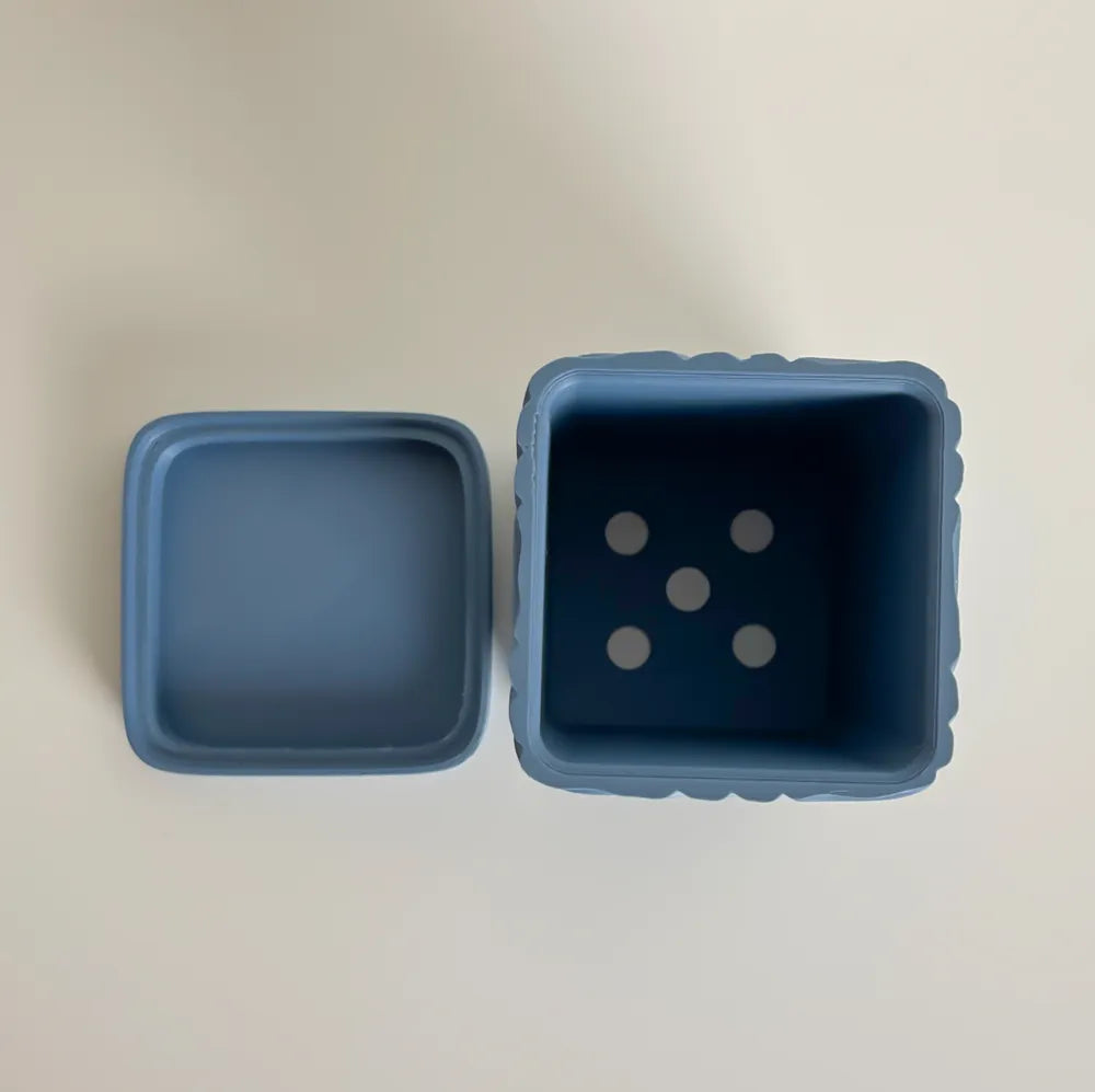 Tooth Brush Holder with Drip tray