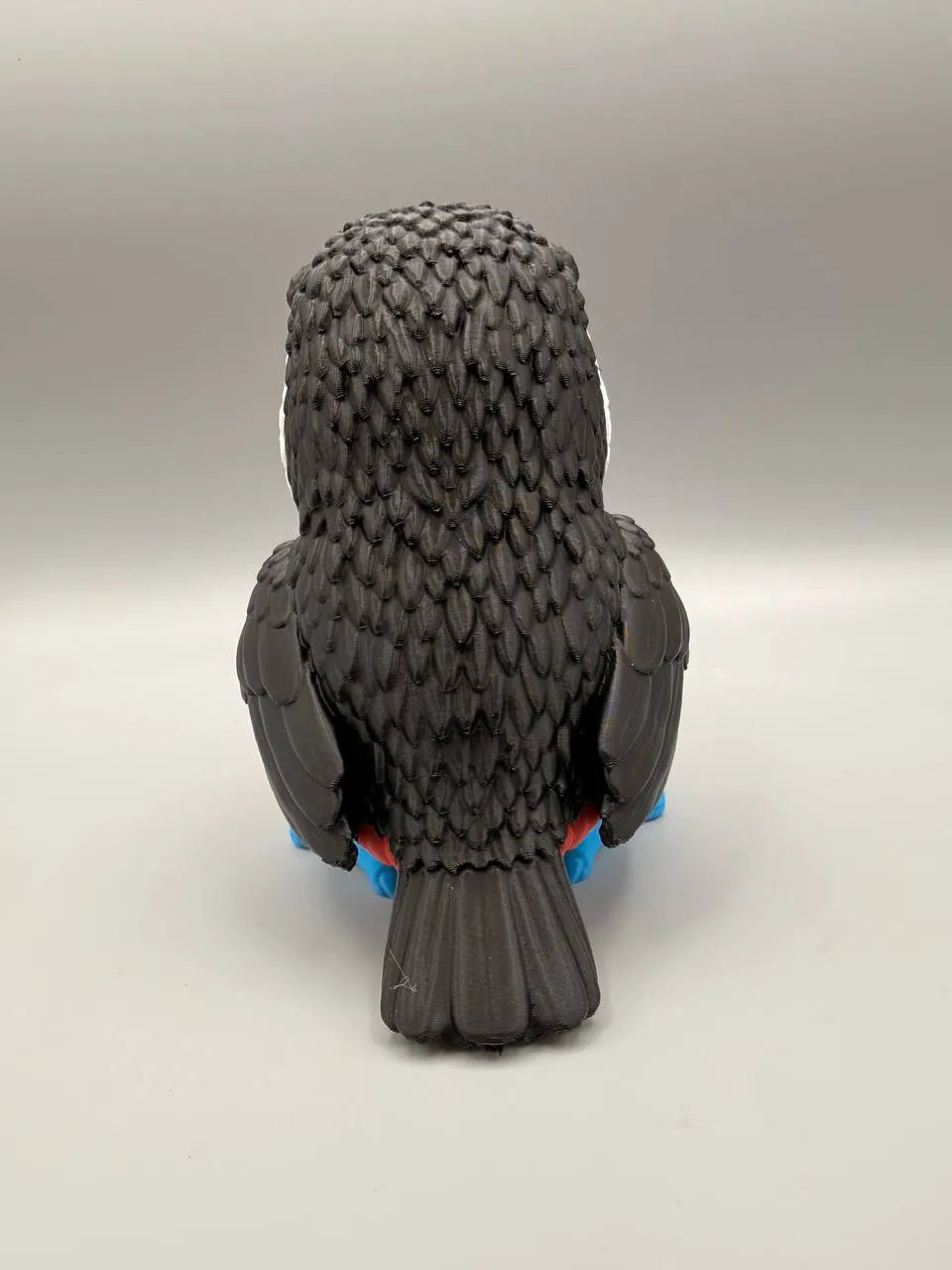 Collection - Grumpy - Toucan