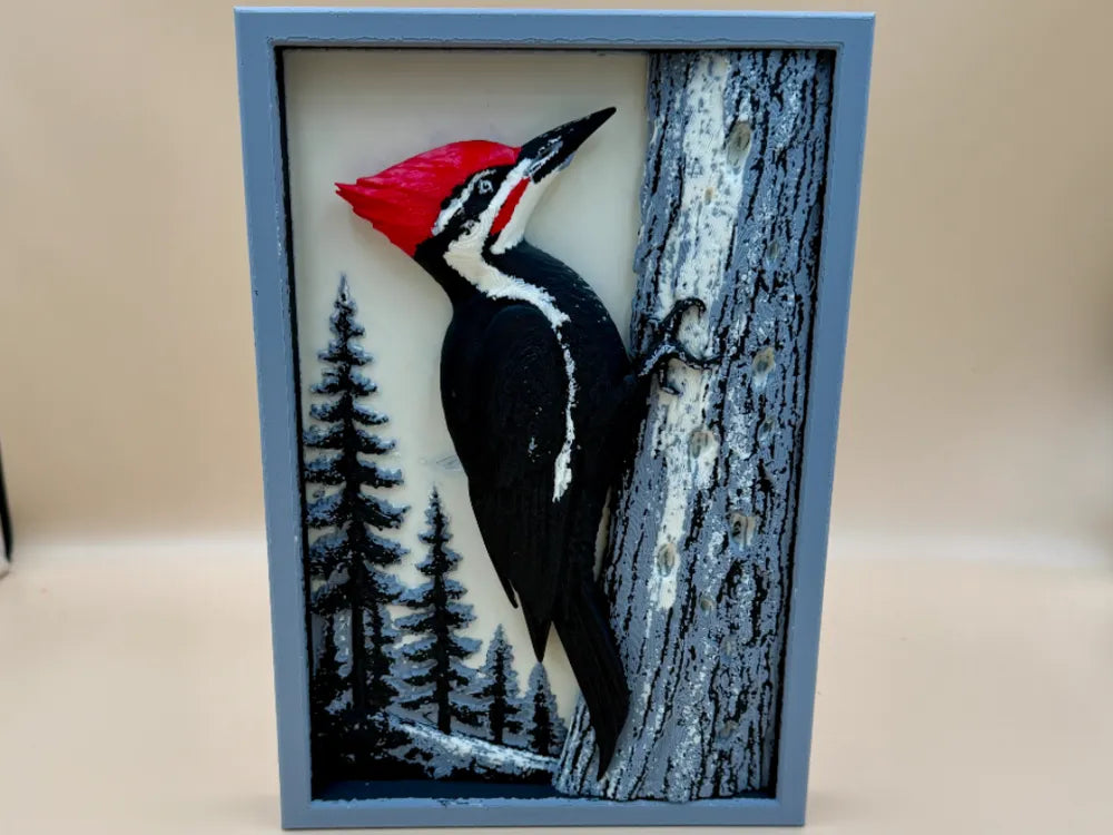 Woodpecker portrait on a tree 10 inches