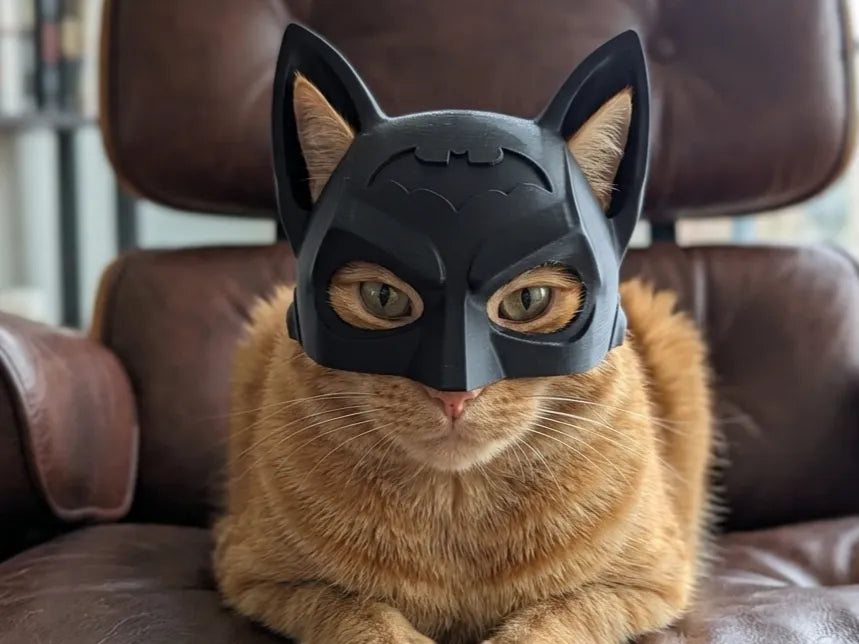 Batman Helmet for your cat - Batman available for Small, Medium or Large Cats.