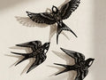 Fillagree Swallow - 3 Designs