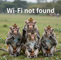 Free Wifi Monkey Finger