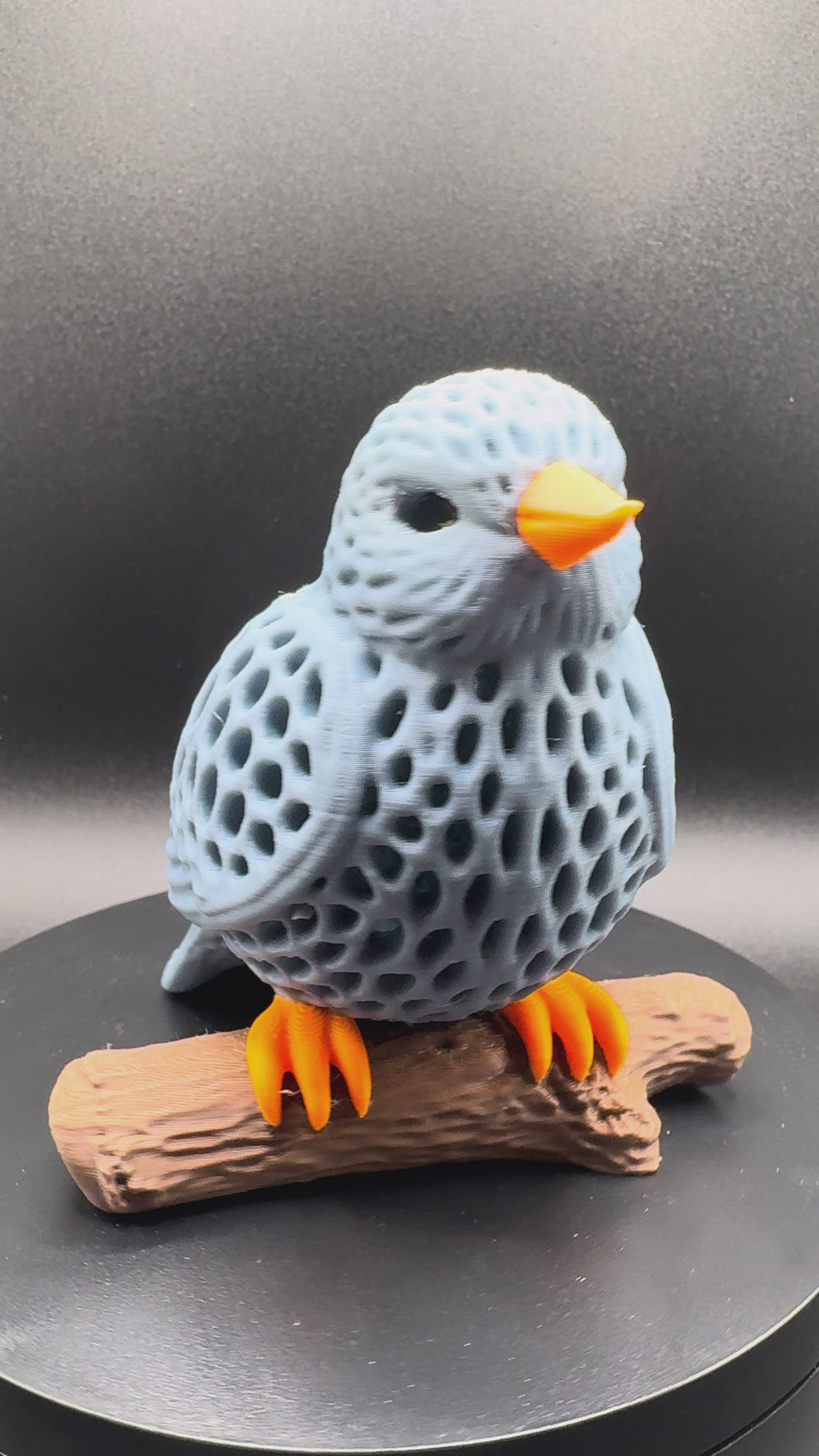 Bluebird on a log