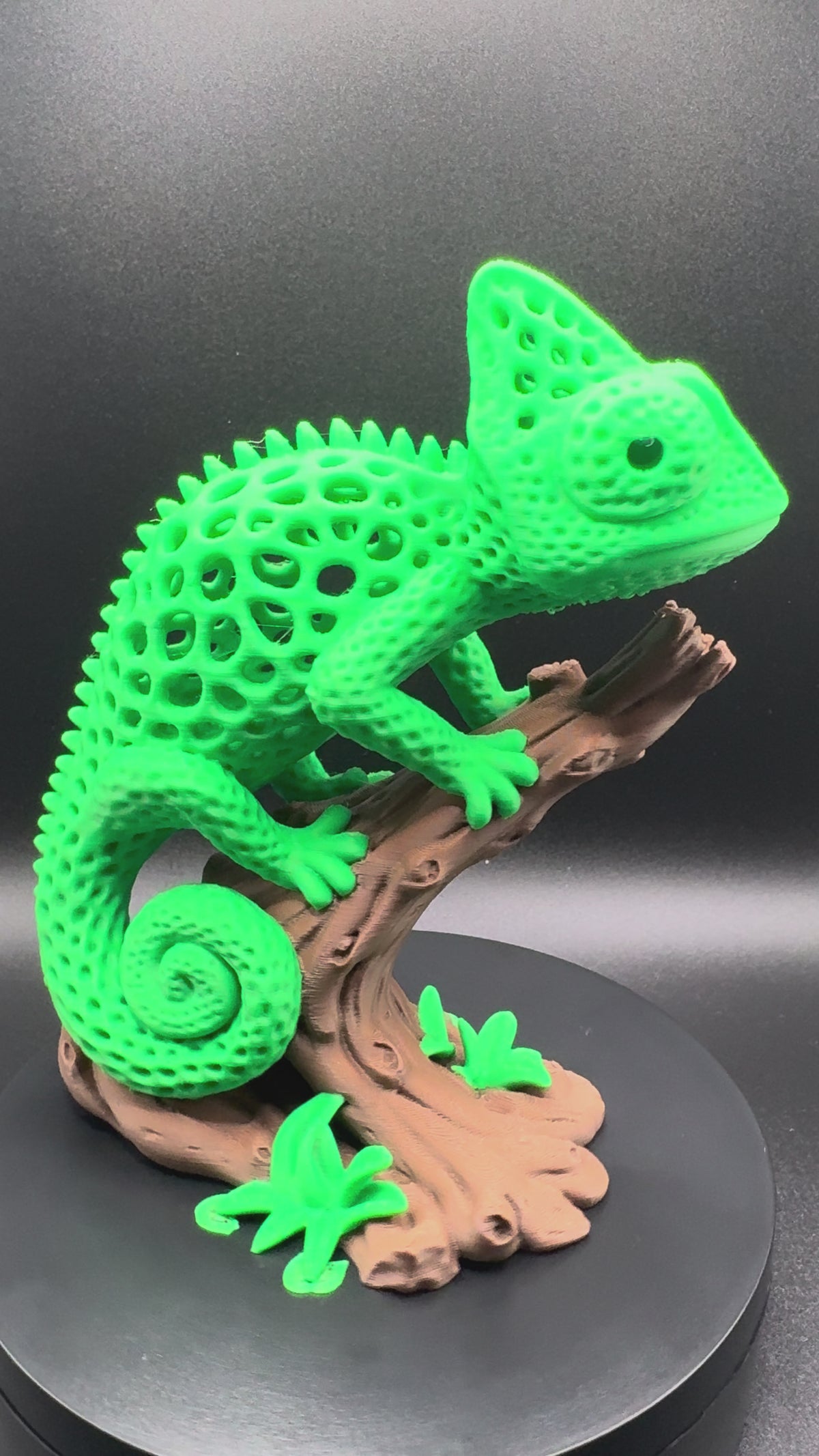 Cameleon